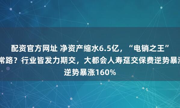 配资官方网址 净资产缩水6.5亿，“电销之王”不走寻常路？行业皆发力期交，大都会人寿趸交保费逆势暴涨160%