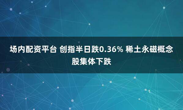场内配资平台 创指半日跌0.36% 稀土永磁概念股集体下跌
