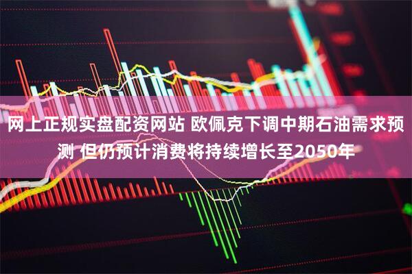网上正规实盘配资网站 欧佩克下调中期石油需求预测 但仍预计消费将持续增长至2050年