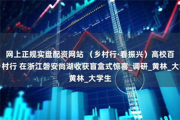 网上正规实盘配资网站 （乡村行·看振兴）高校百人乡村行 在浙江磐安尚湖收获盲盒式惊喜_调研_黄林_大学生